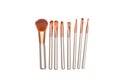 Set of makeup brushes isolated on white background Royalty Free Stock Photo