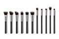 Set of makeup brushes, professional makeup kit concealer powder eyebrush with black handles on colorful pastel background. Royalty Free Stock Photo