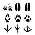 Set of Mammals and bids Footprints - Vector Illustration