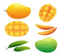 Set of mango fruits whole, half and cubic slices Royalty Free Stock Photo