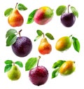 Set of mango, pear, plums or nectarine covered in dew drops with green leaves isolated on white background Royalty Free Stock Photo