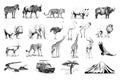 Set of many african animals and car, tree, mountain hand drawn i