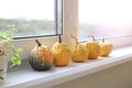 Set of many different small mini warty yellow decorative pumpkins on white windowsill at home interior. Halloween house Royalty Free Stock Photo