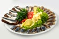 The set marinated mackerel,herring, herring fillet, sprat at Borodino bread, on the plate