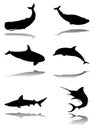 Set of marine animals