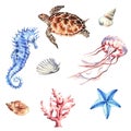 Set of marine animals and shells. Underwater objects isolated on white background. Hand drawn watercolour. Clip art. For