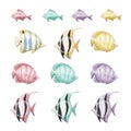 Set of marine clipart marine multicolored fish