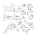Set of marine elements fish, dolphin, shark, shells, turtle, seahorse. Line art