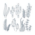 Set of marine elements of seaweed in flat cartoon style Royalty Free Stock Photo