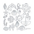 Set of marine elements seaweed, seashell, octopus, dolphin, fish, stingray, seahorse. Line art