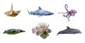 Collection of marine sea life species, isolated on white background Royalty Free Stock Photo
