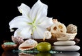 Set for massage and a peeling - SPA-procedures Royalty Free Stock Photo