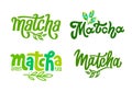 Set of Matcha logo design. Lettering decorated of branch green leaves. Hand-drawn vector calligraphy for tea product