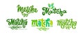 Set of Matcha logo design. Lettering decorated of branch green leaves. Hand-drawn vector calligraphy for tea product