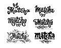 Set of Matcha logo design. Lettering decorated of branch leaves. Black hand-drawn vector calligraphy for tea product