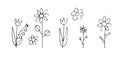 Set meadow flowers in the style of childs drawing. Naive landscape. Outline sketch. Hand drawing is isolated on a white