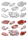 Set meat. Brisket, steak, chicken leg, ribs wing, and breast halves. Vintage vector engraving Royalty Free Stock Photo