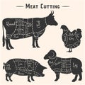 Set of Meat diagrams. Cuts of meat. Cow, Chicken, Pig and Sheep silhouette. Vintage Posters for groceries, butcher shop, meat Royalty Free Stock Photo