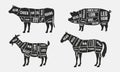 Set of Meat diagrams. Cuts of meat. Beef, Goat, Pork and Horse silhouette.