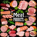 set of meat products with spices and aromatic herbs Royalty Free Stock Photo