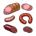 Set meat sausage. Vintage color vector engraving illustration.