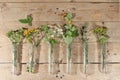 A set of medicinal plants on a rustic table in medical flasks, the concept of alternative medicine and natural cosmetics,