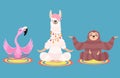 Set of meditating animals: sloth, llama and flamingo isolated on a blue background. Vector illustration.