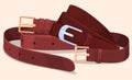 A set of men and women leather belts. Elements of clothing, stylish accessories. Vector illustration on a white Royalty Free Stock Photo