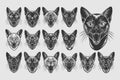 Set of meowing burmese cat head illustration design