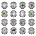 Set of metal buttons for web, round, with images of animals Royalty Free Stock Photo