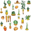 Set of mexican style illustration different cactuses, sombrero, pineapple, maraca, vases with national patterns.