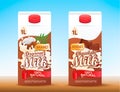 Set of 2 milk tetra packs with different tastes.