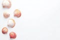 A set of miniature sea shells, a conch, and sea snails on a transparent background, showcasing ocean, summer, and Royalty Free Stock Photo