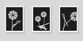 Set of minimalistic elegant wall decor posters. Hand-drawn abstract dandelions on black background.