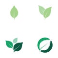 set of mint leaves flat vector color icon Royalty Free Stock Photo