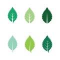 set of mint leaves flat vector color icon