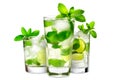 Set of Mojito cocktails, garnished with fresh mint and a slice of lime in a tall glass