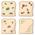 Set of Mold on Bread