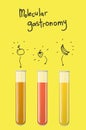 Set of molecular gastronomy test tubes.