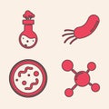 Set Molecule, Test tube and flask chemical, Bacteria and Bacteria icon. Vector