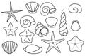 Set of molluscs sea shells. Ocean sand seashells. vector line icon. Editable stroke. Doodle style.