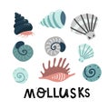 Set mollusks and starfish, sea ocean, lettering vector illustration