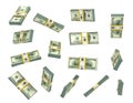 Set of money in different view isolated on a white.