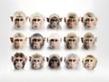 Set of monkey faces on white background. generative AI