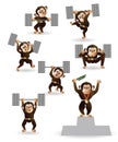 Set monkey love bodybuilding