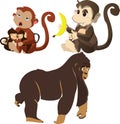 Set of monkey resting different vector on tree Royalty Free Stock Photo