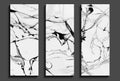 Set of monochrome cards, marble backgrounds for design