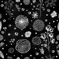 Monochrome background seamless texture of beautiful flowers. Vector illustration