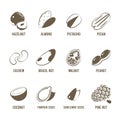 Set of monochrome, lineart food icons: nuts. Royalty Free Stock Photo