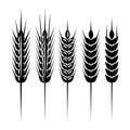 Set of monochrome vector spikelets for scenery